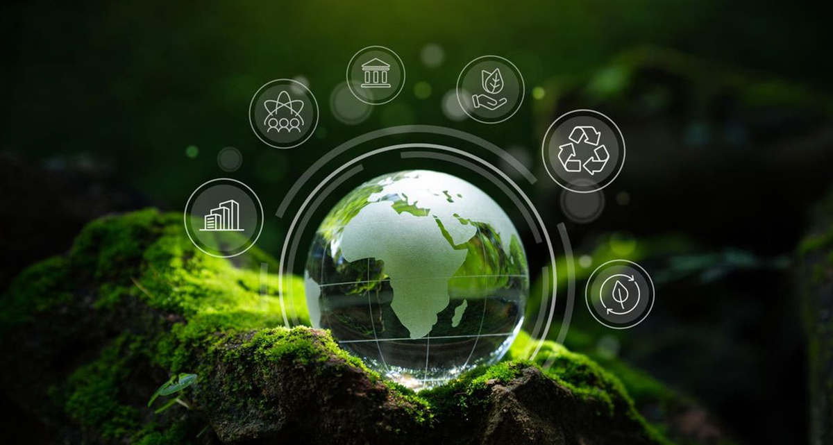 Instytut badawczy technologii liofilizacji Sieno (Jiangsu) Co., Ltd
