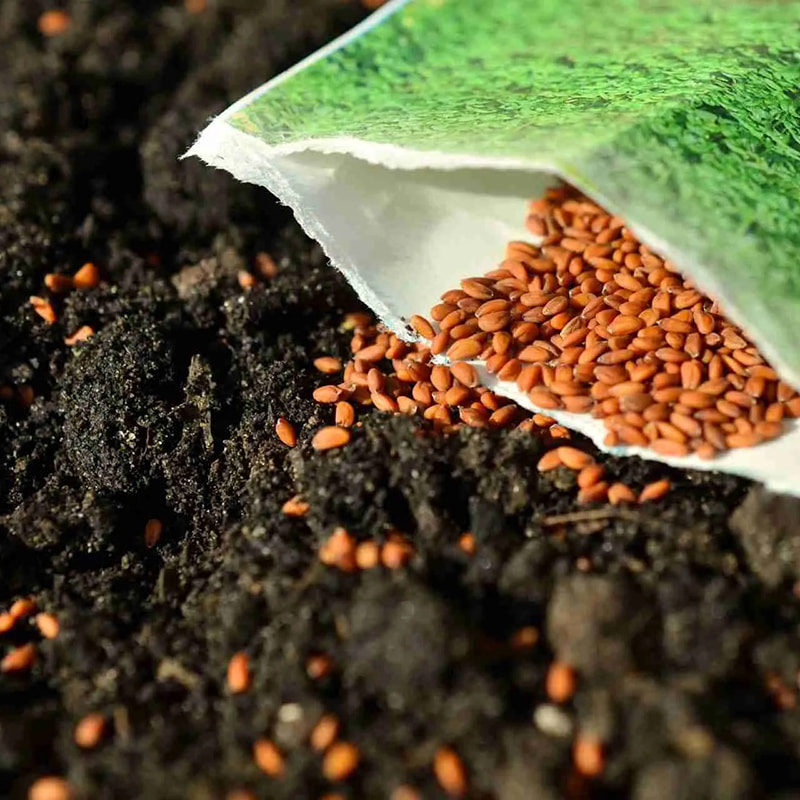 Głęboka zamrażarka do nasion i grzybów